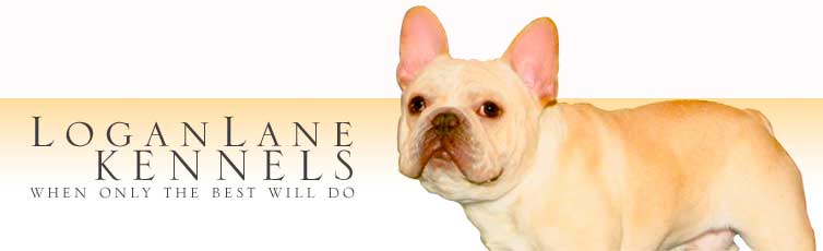 Logan Lane Kennels logo
