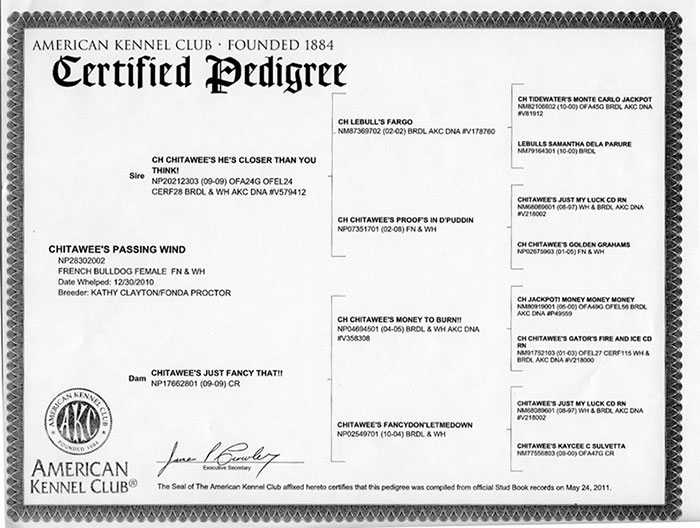 Clarice Pedigree